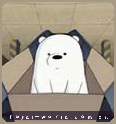 张强